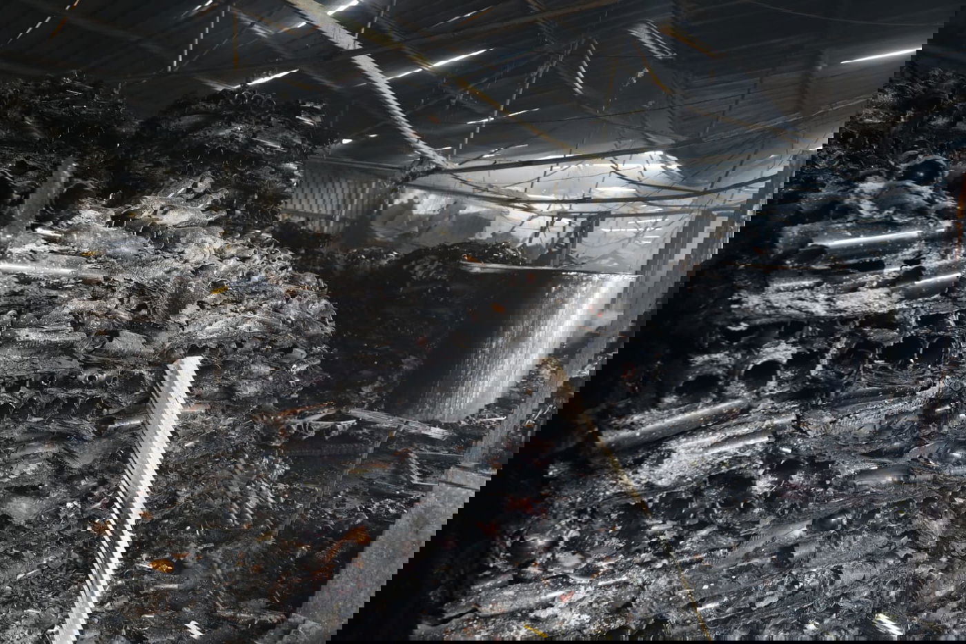 ביקור ב'יקב מצודה' שעלה בלהבות • תיעוד עצוב