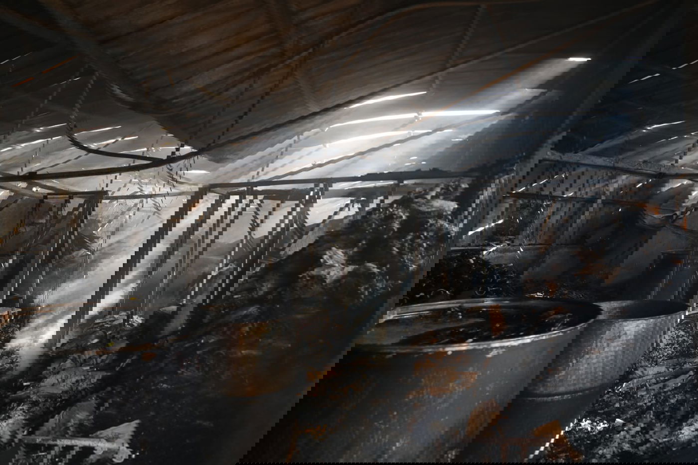 ביקור ב'יקב מצודה' שעלה בלהבות • תיעוד עצוב