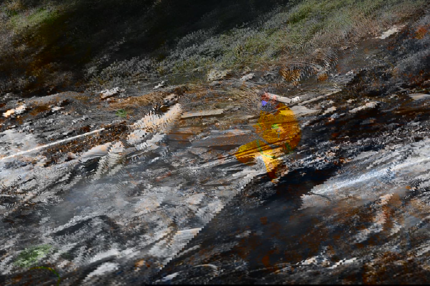 כך לוחמי האש נלחמים בלהבות הענק; צפו