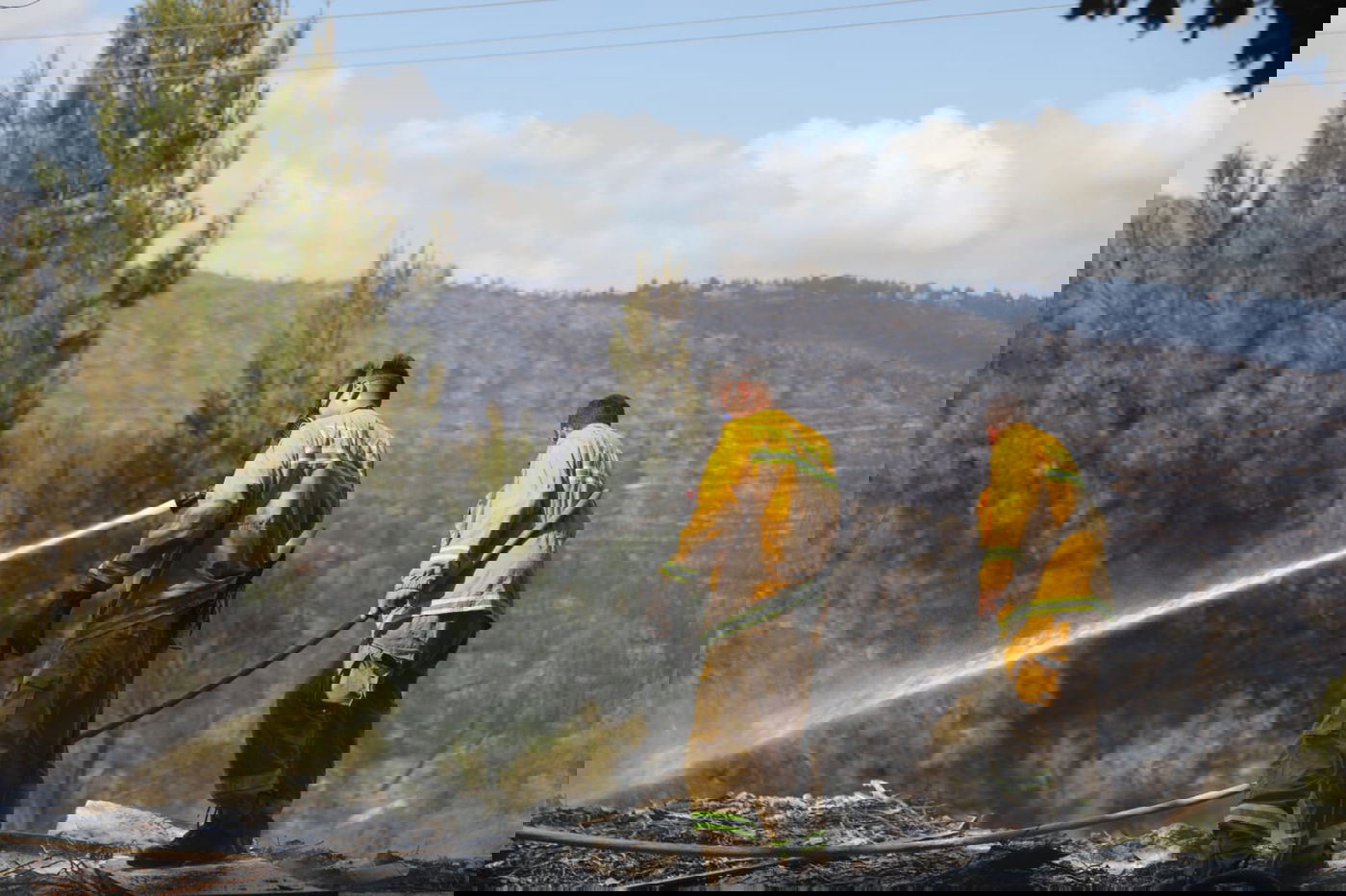 כך לוחמי האש נלחמים בלהבות הענק; צפו