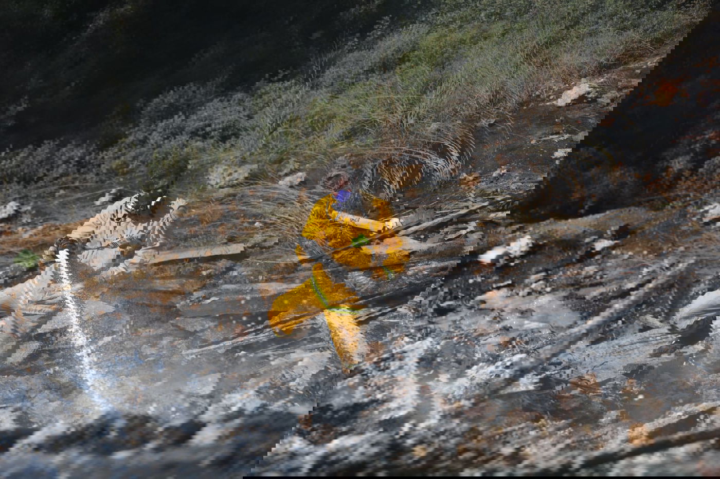 כך לוחמי האש נלחמים בלהבות הענק; צפו