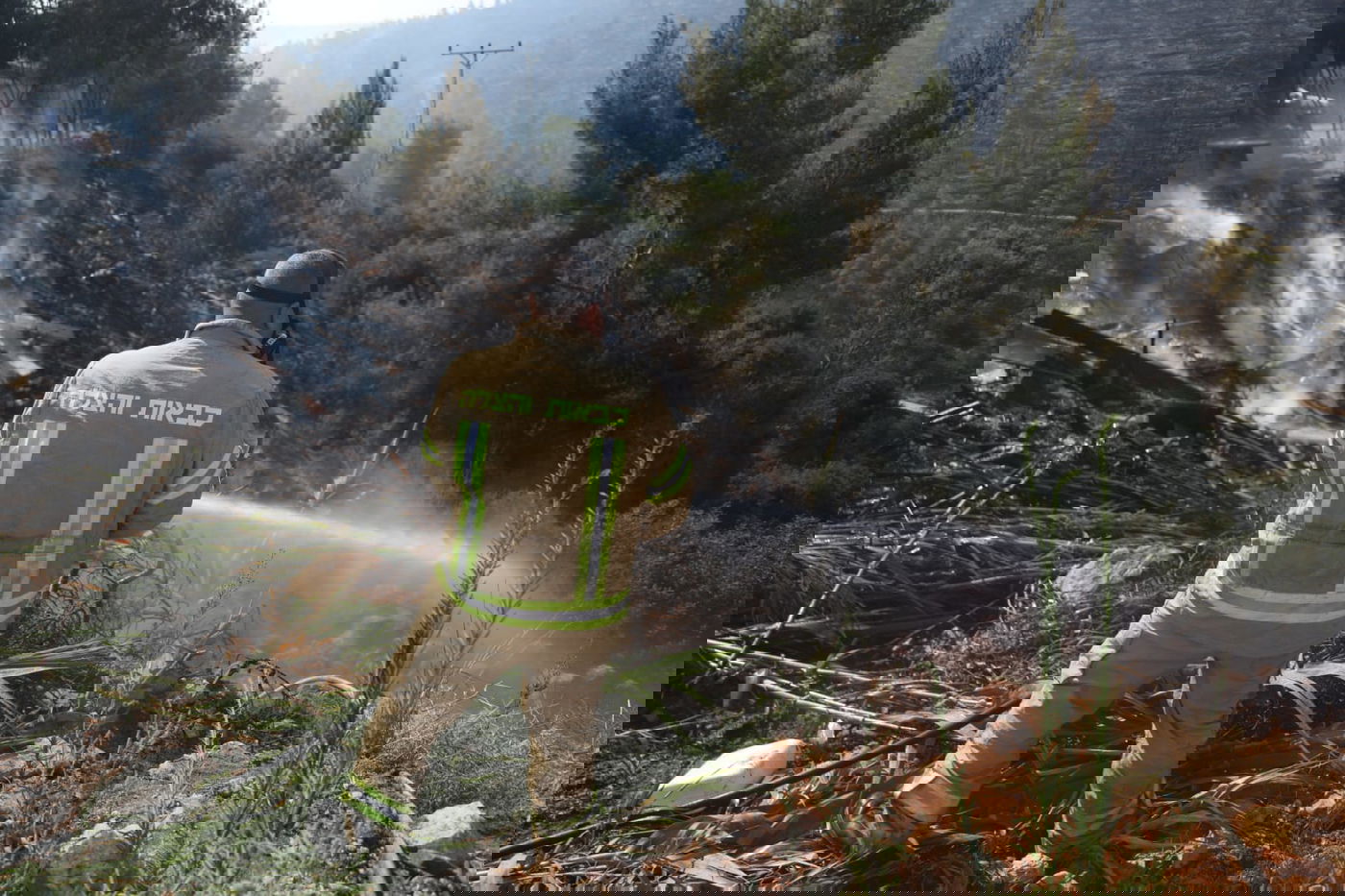 כך לוחמי האש נלחמים בלהבות הענק; צפו