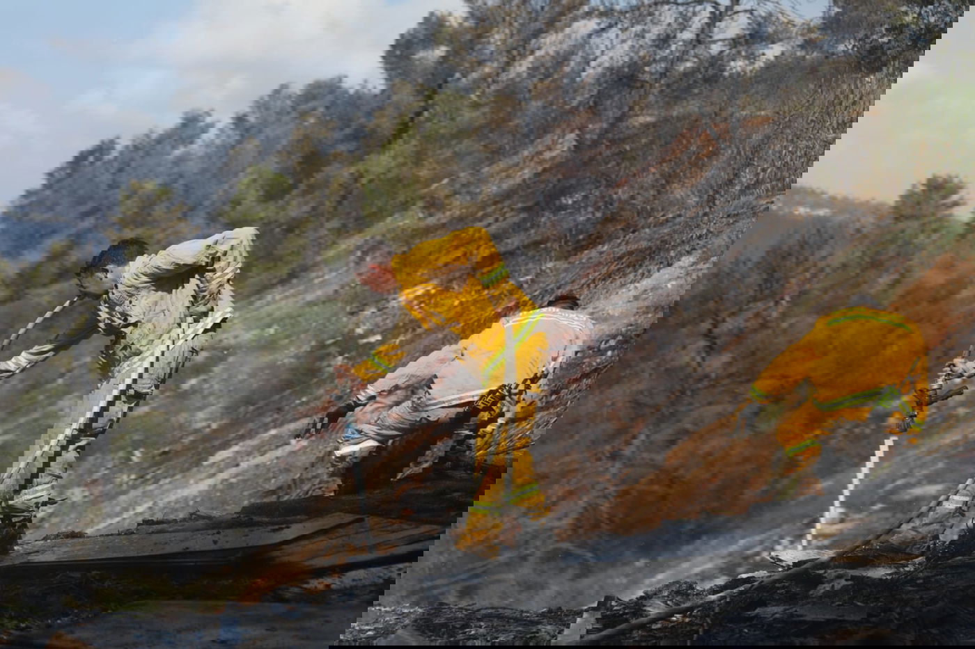 כך לוחמי האש נלחמים בלהבות הענק; צפו