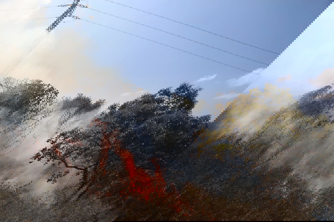 כך לוחמי האש נלחמים בלהבות הענק; צפו