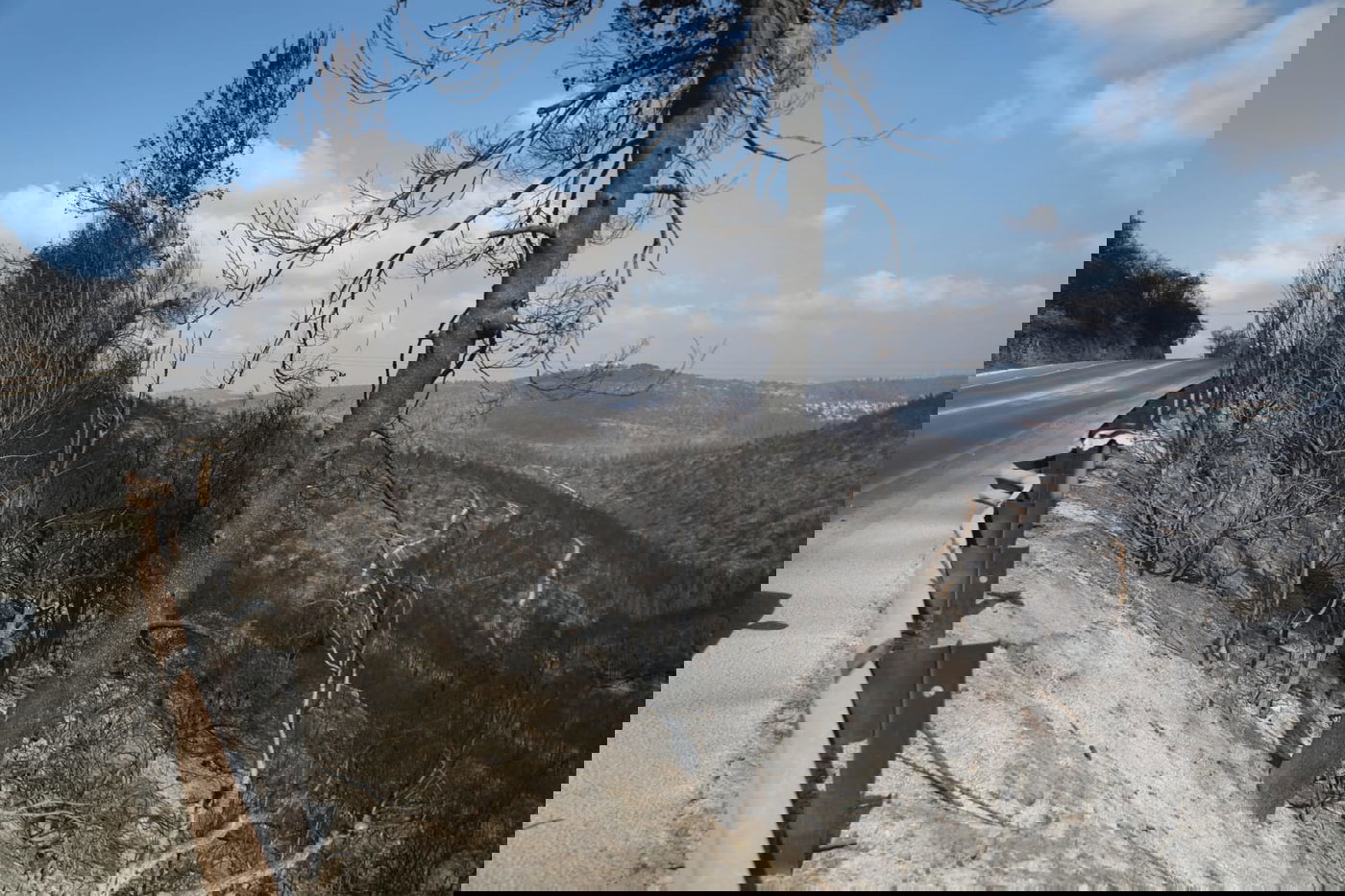 כך לוחמי האש נלחמים בלהבות הענק; צפו