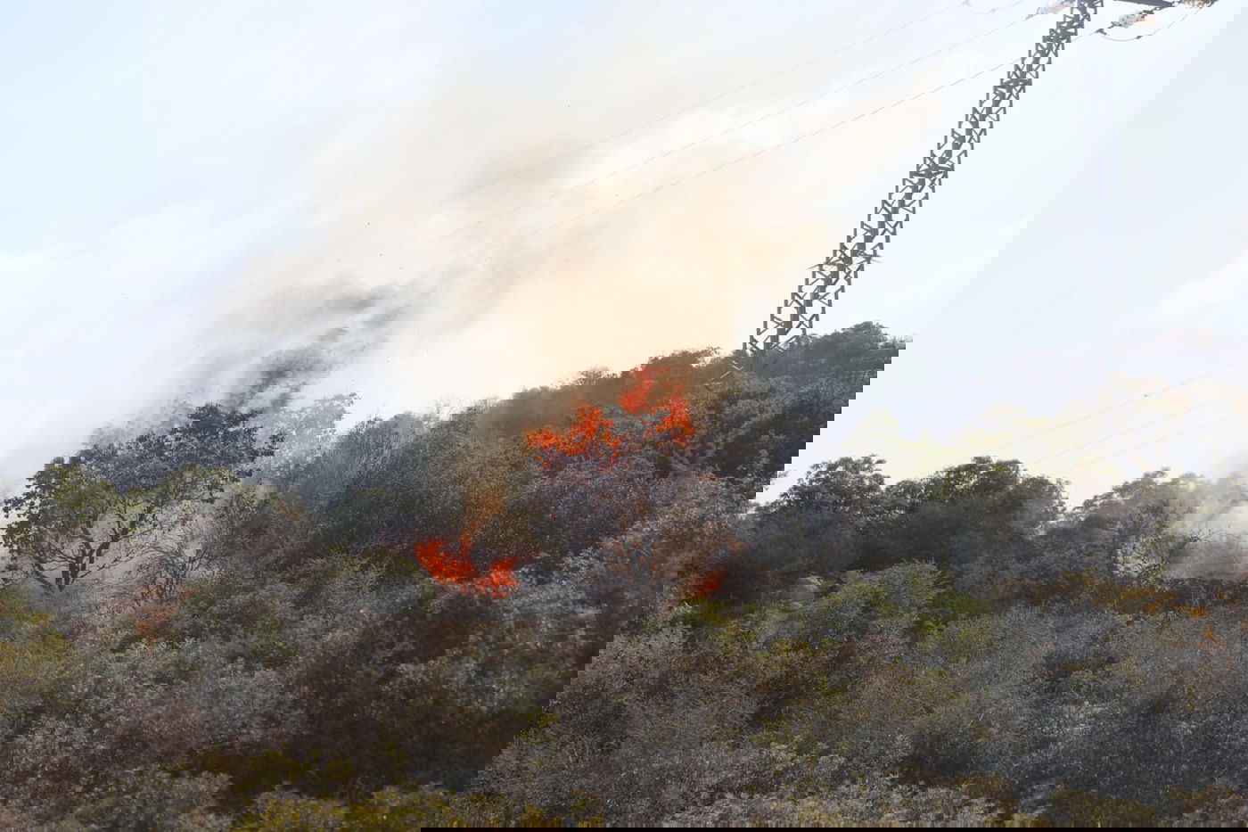 כך לוחמי האש נלחמים בלהבות הענק; צפו