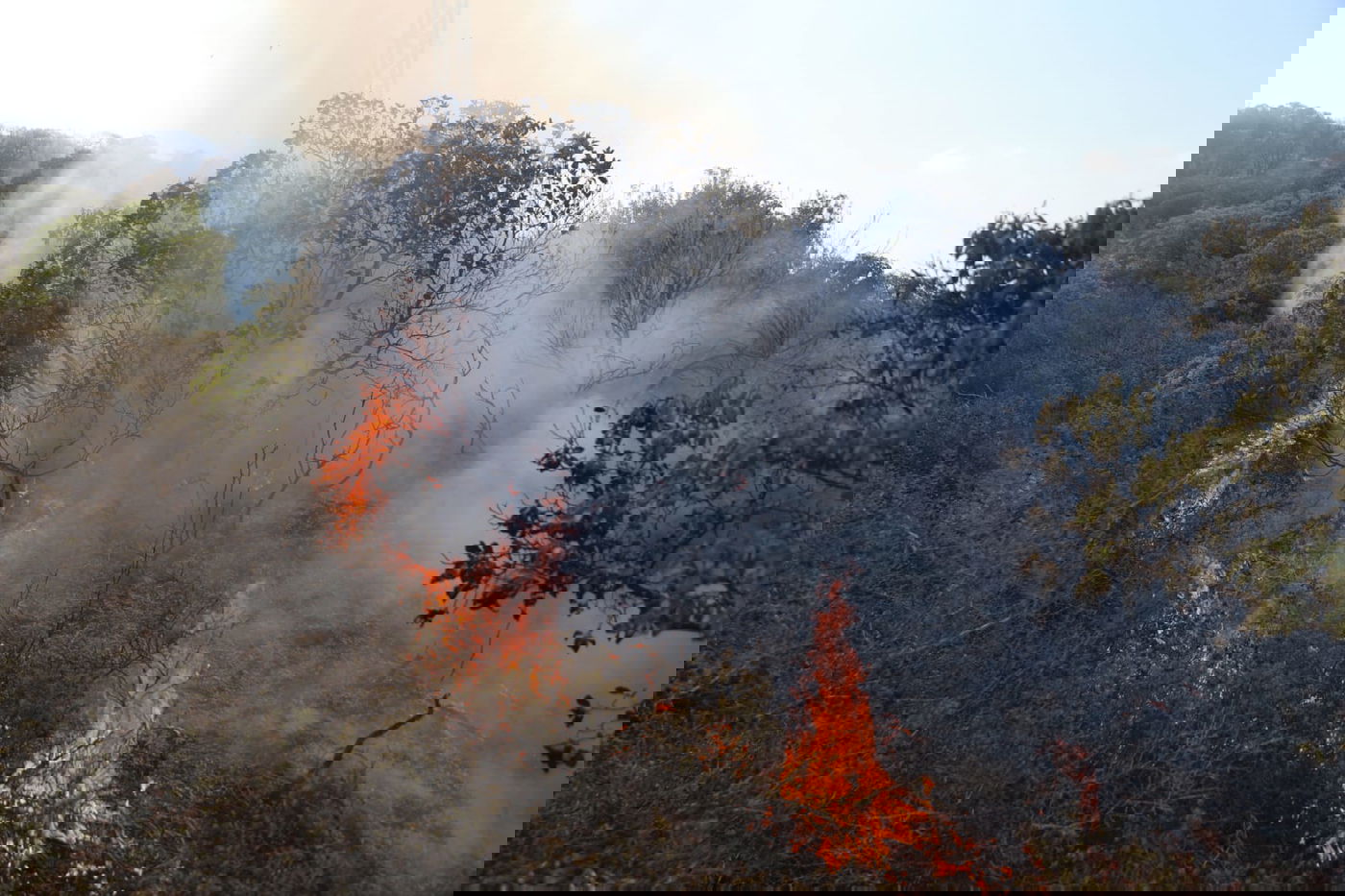 כך לוחמי האש נלחמים בלהבות הענק; צפו