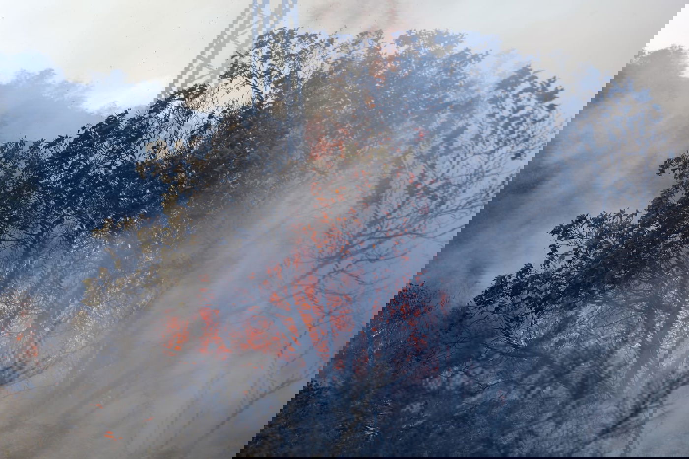 כך לוחמי האש נלחמים בלהבות הענק; צפו