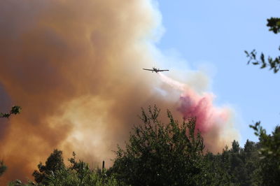 17 אלף דונם - נשרפו; המאבק בלהבות האש נמשך הבוקר