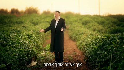 "אפשר להציל קרקעות רבות מחילול השמיטה"