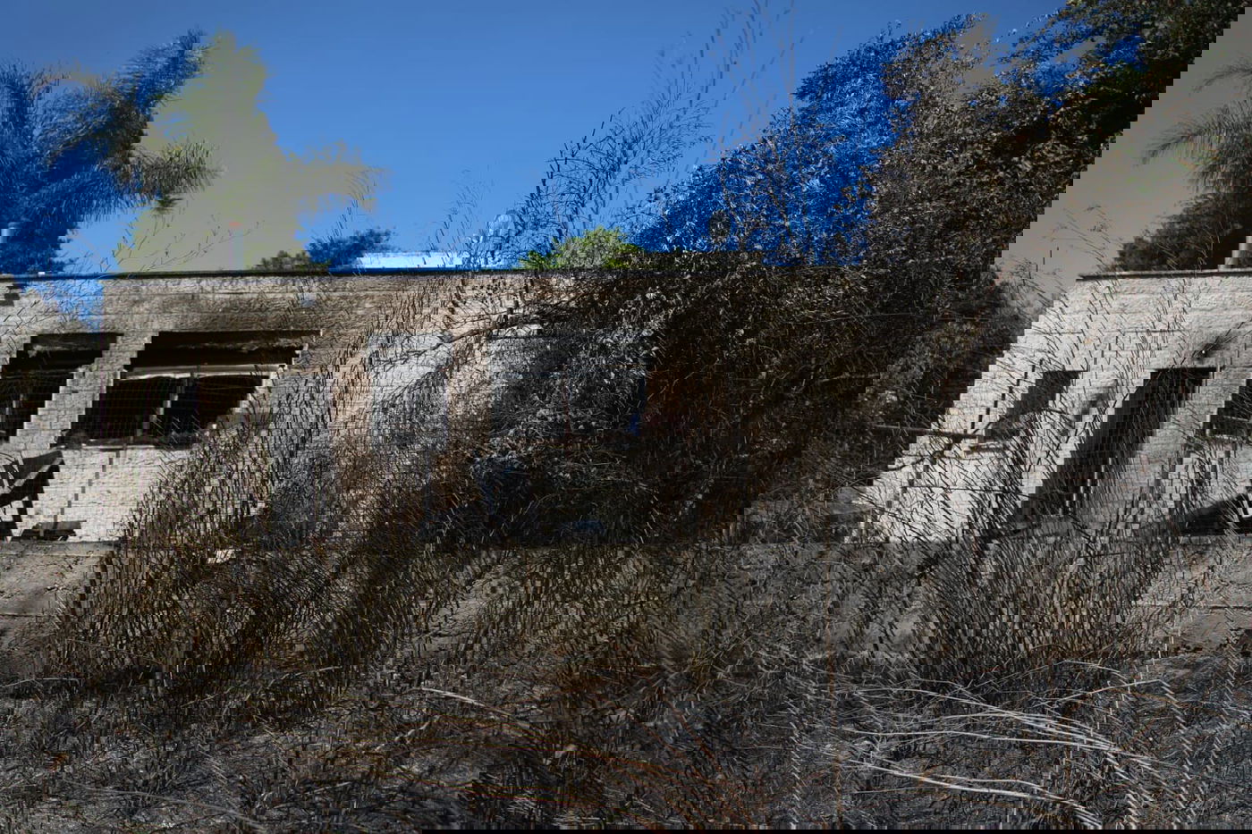 נזקי השריפה בגבעת יערים