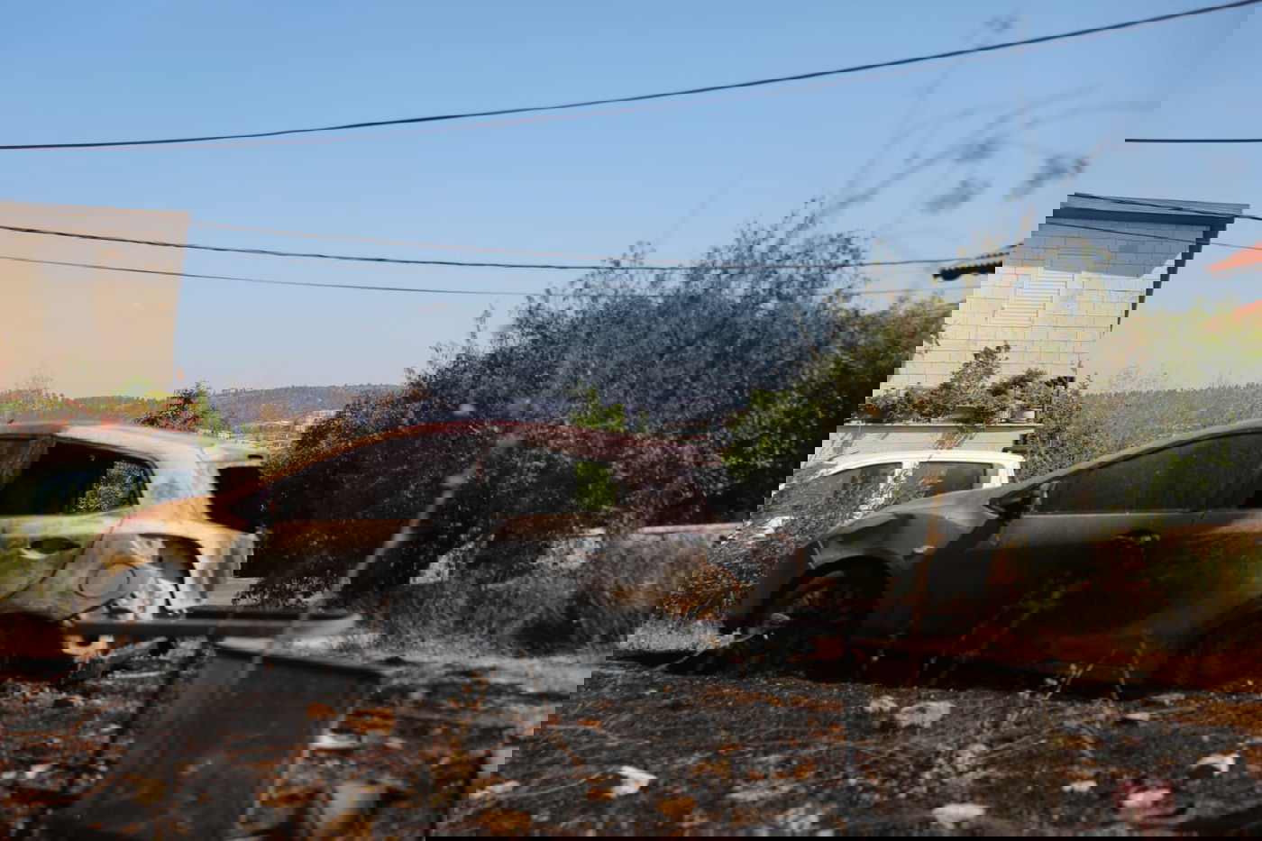 25 אלף דונם נשרפו באש; ישראל לא תצטרך סיוע בינלאומי