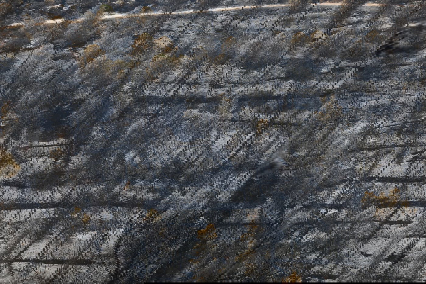 תיעוד עצוב: הבית שנשרף ב'גבעת יערים'