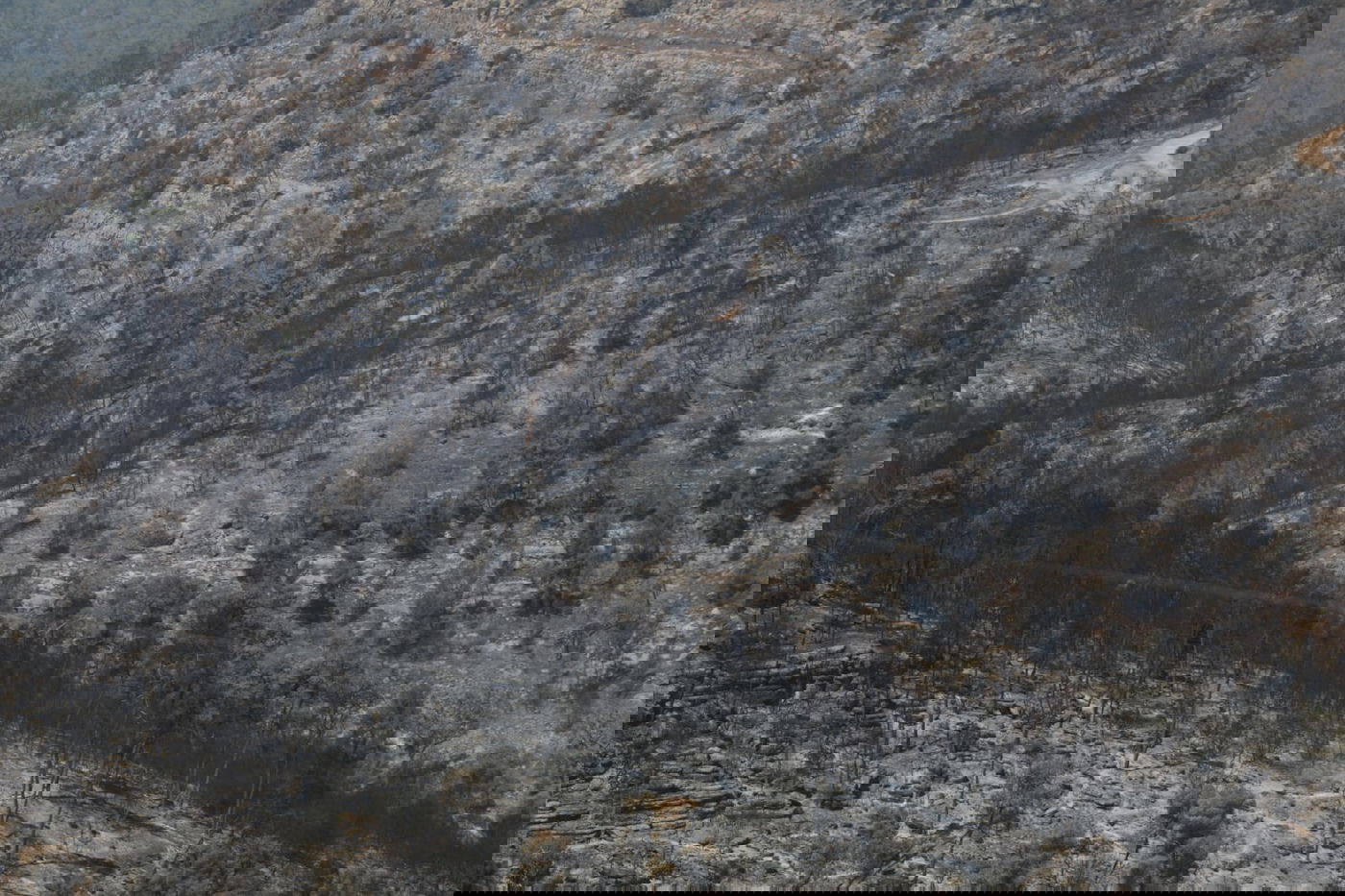 תיעוד עצוב: הבית שנשרף ב'גבעת יערים'