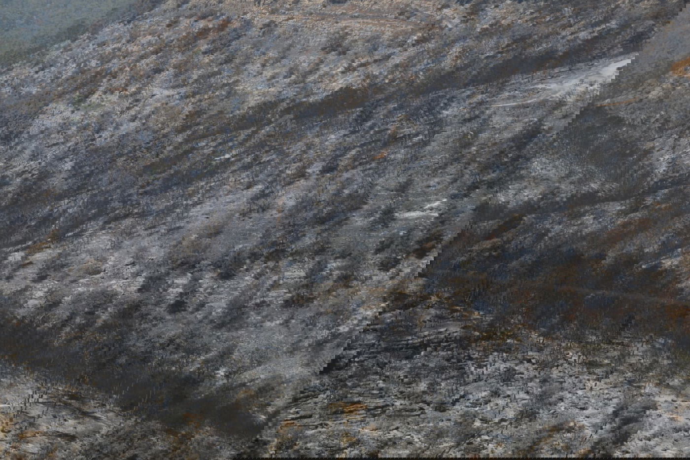 תיעוד עצוב: הבית שנשרף ב'גבעת יערים'