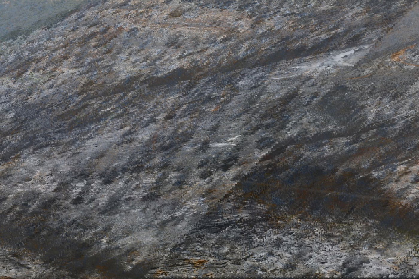 תיעוד עצוב: הבית שנשרף ב'גבעת יערים'