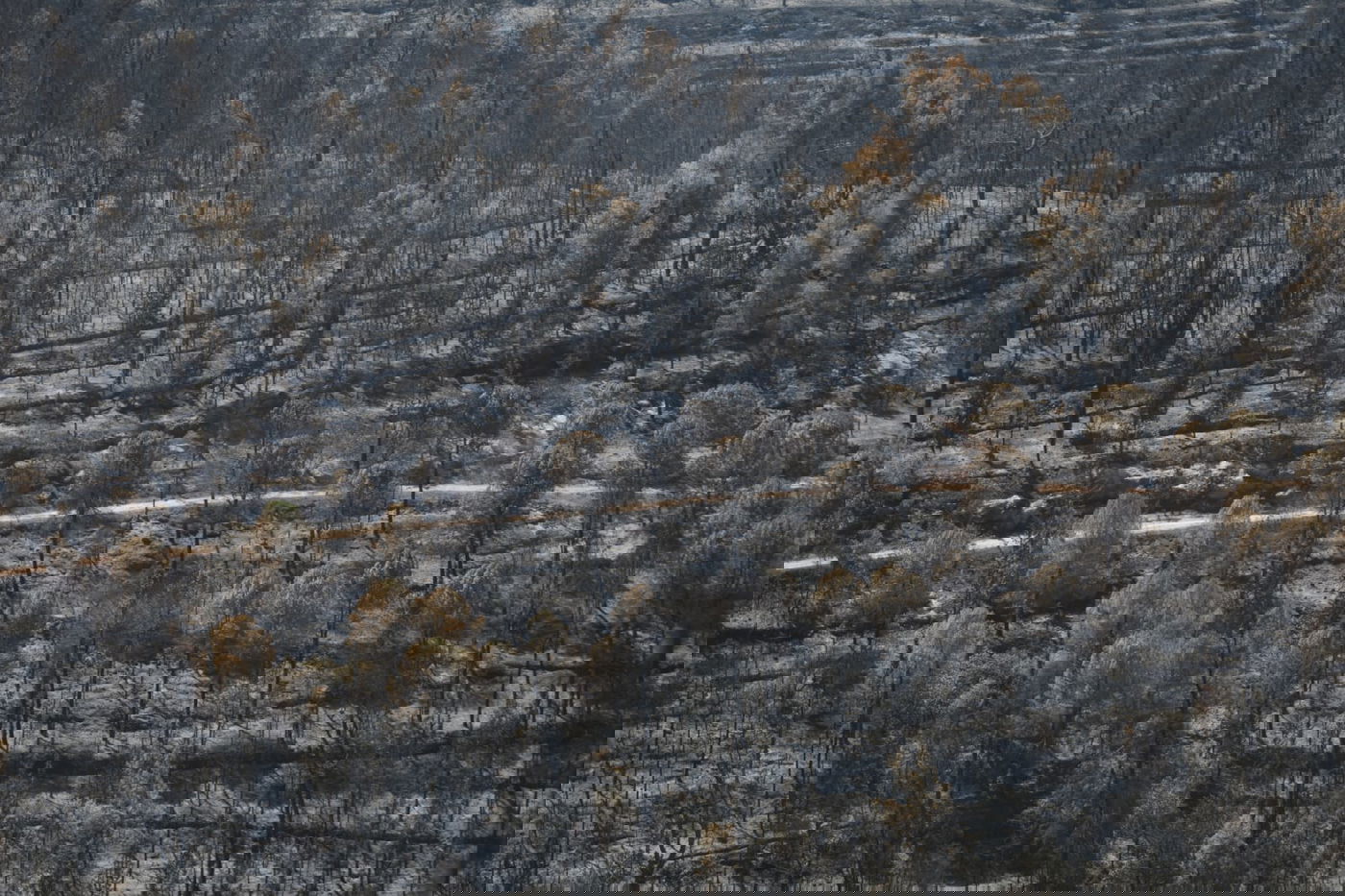 תיעוד עצוב: הבית שנשרף ב'גבעת יערים'