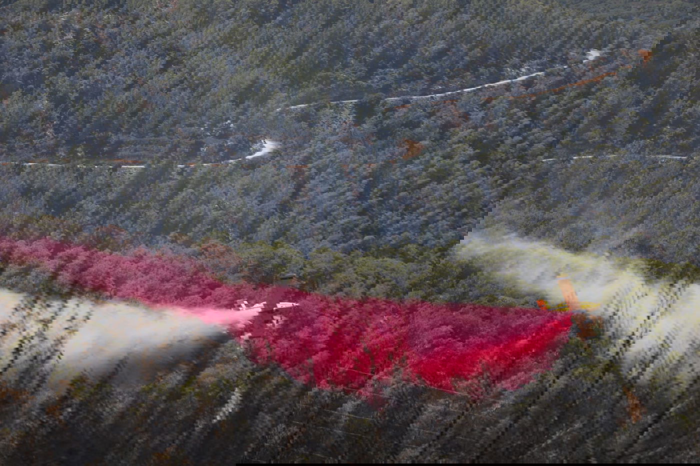 תיעוד עצוב: הבית שנשרף ב'גבעת יערים'