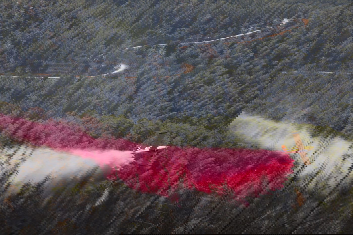 תיעוד עצוב: הבית שנשרף ב'גבעת יערים'