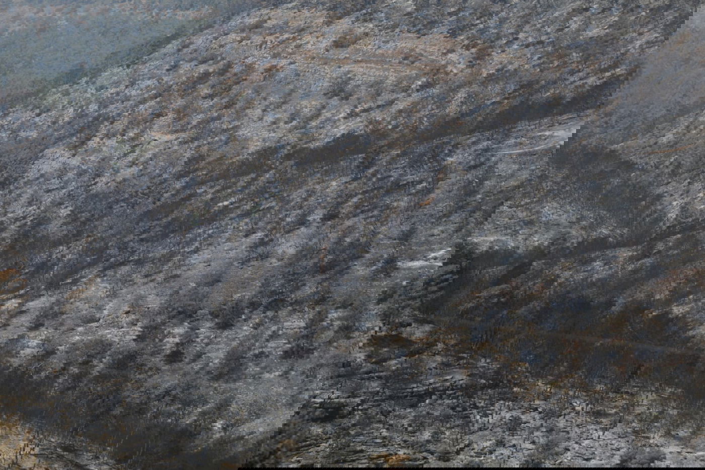 תיעוד עצוב: הבית שנשרף ב'גבעת יערים'