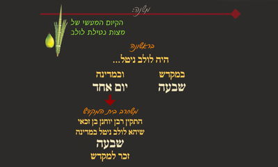 סוכה מ"א • סיכום והמחשה של הדף היומי