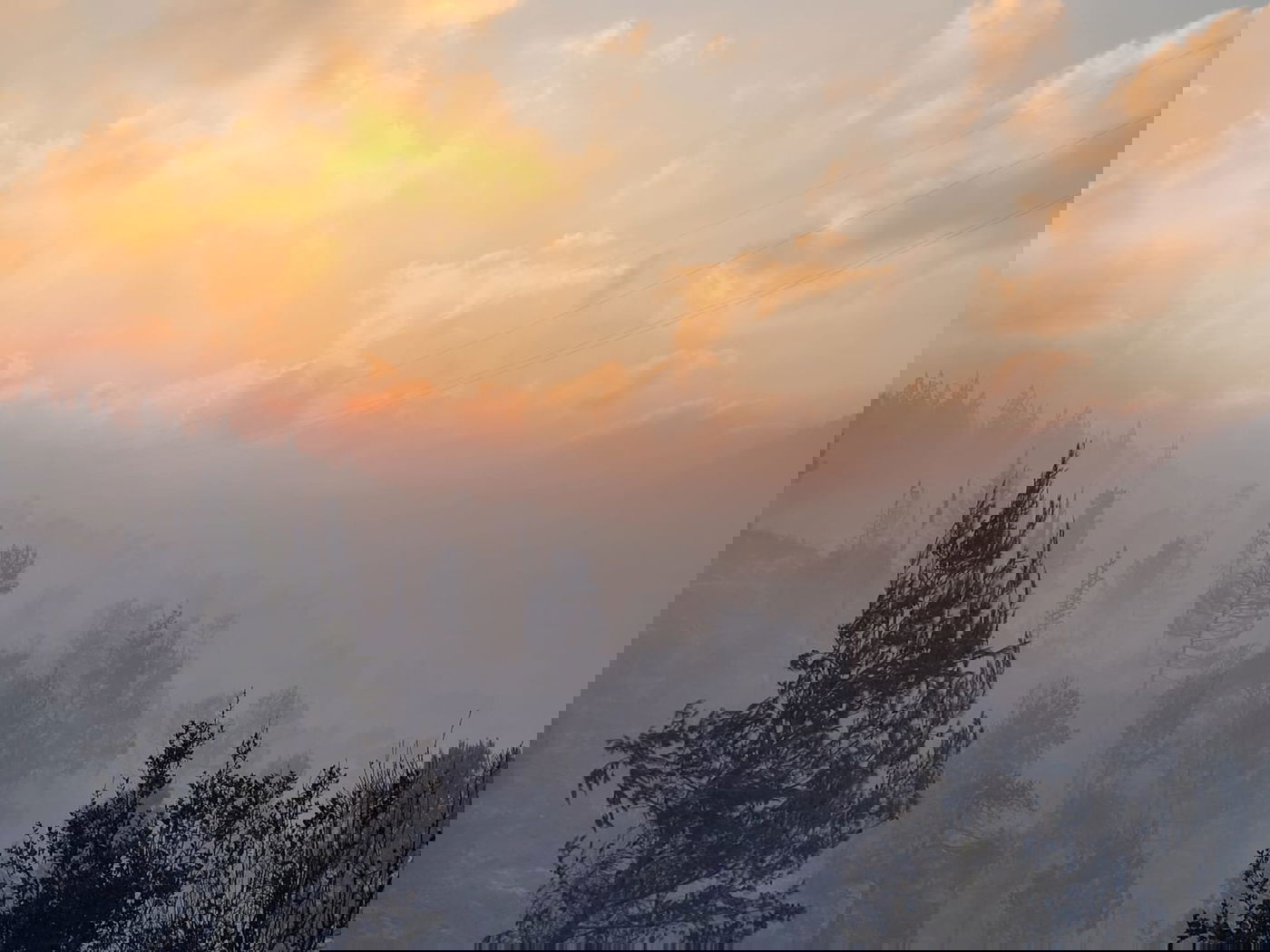 עם אור ראשון: נזקי השריפה נחשפים. תיעוד