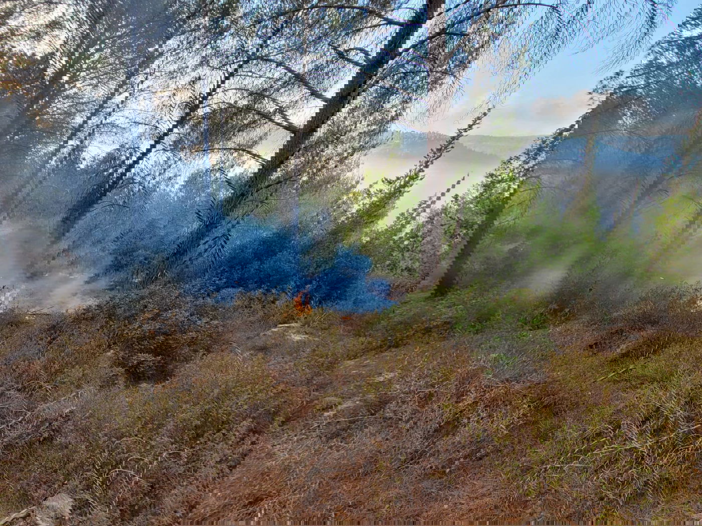 עם אור ראשון: נזקי השריפה נחשפים. תיעוד