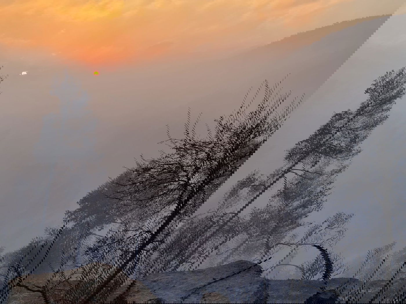 עם אור ראשון: נזקי השריפה נחשפים. תיעוד