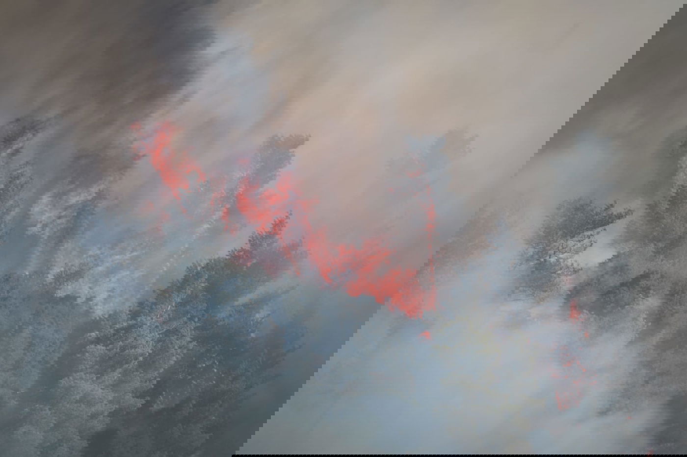 52 שעות של אש ב-52 תמונות של חיים גולדברג