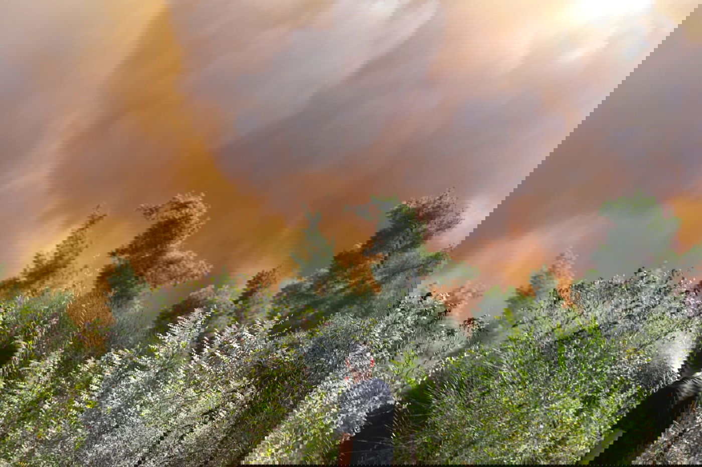 52 שעות של אש ב-52 תמונות של חיים גולדברג