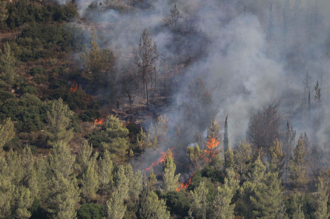 52 שעות של אש ב-52 תמונות של חיים גולדברג
