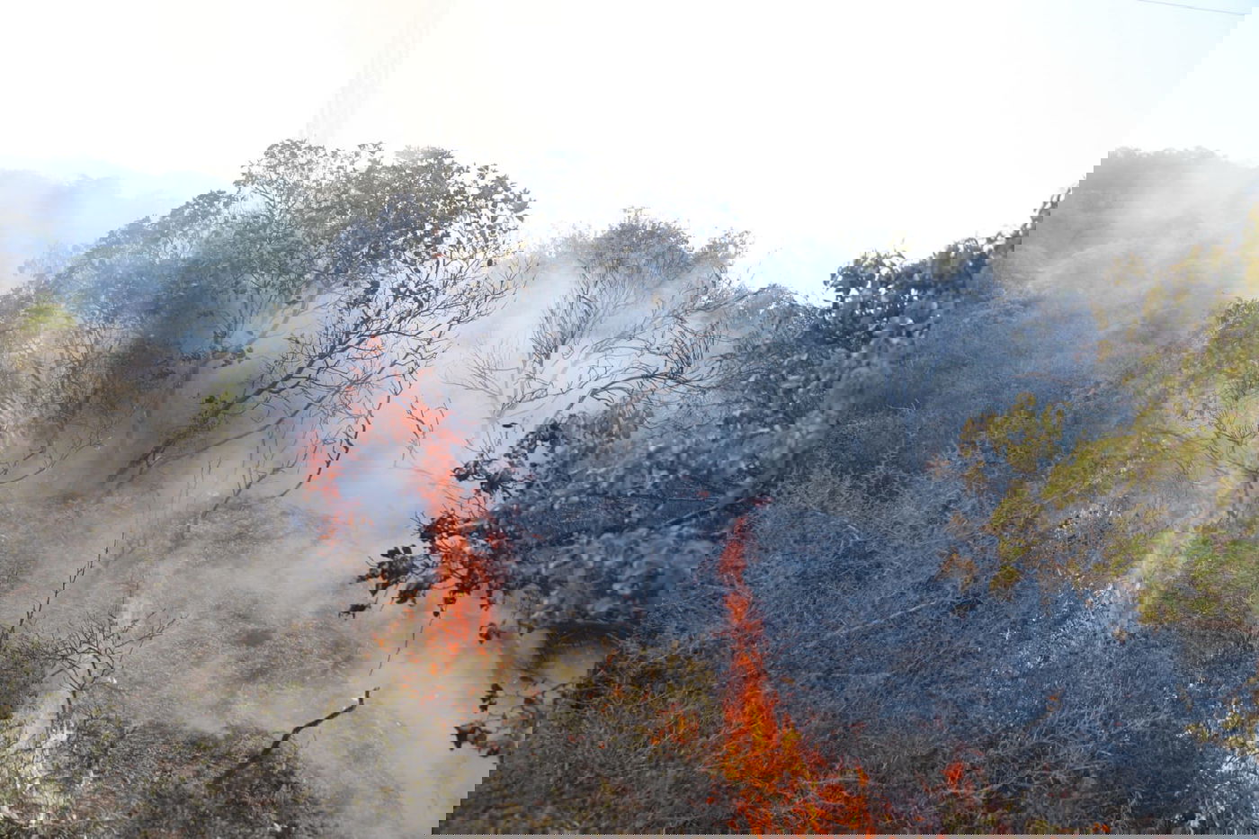 52 שעות של אש ב-52 תמונות של חיים גולדברג