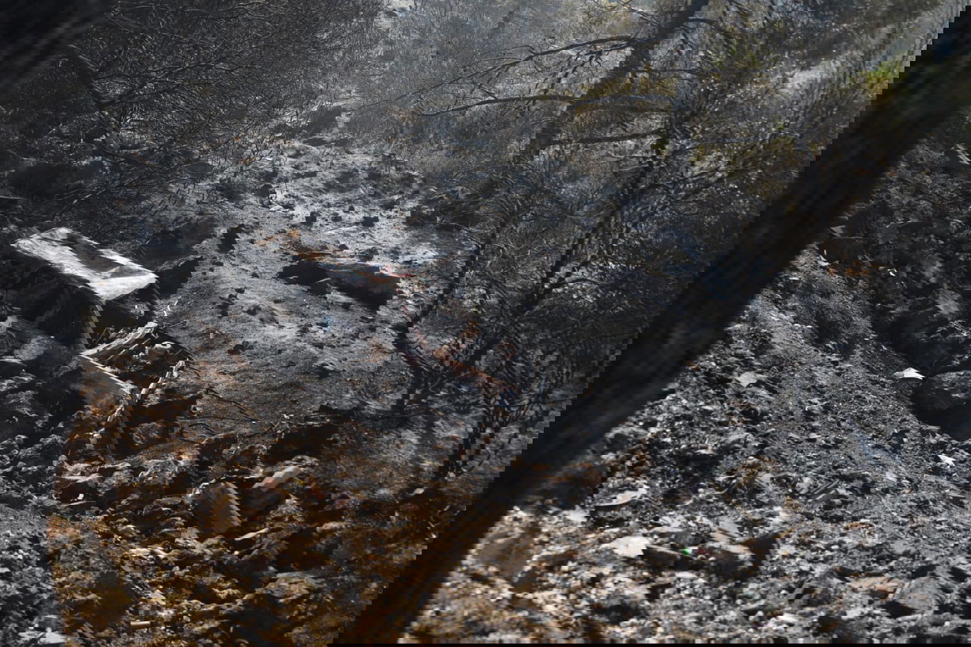 52 שעות של אש ב-52 תמונות של חיים גולדברג