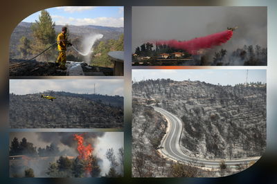 רֵיחַ שָֹרוּף // חיים אלטמן