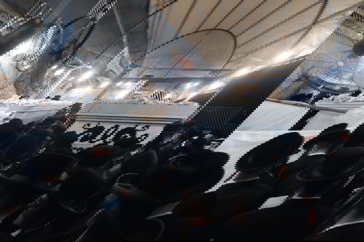 תיעוד: המונים בציון הרבי משומרי אמונים זצ"ל