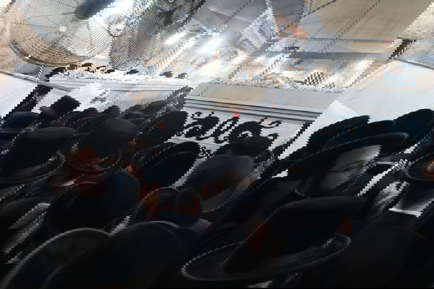 תיעוד: המונים בציון הרבי משומרי אמונים זצ"ל