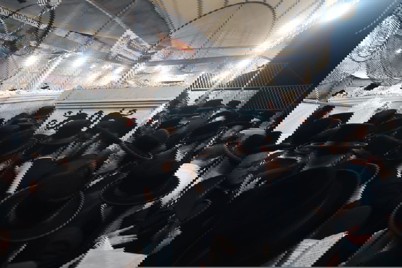 תיעוד: המונים בציון הרבי משומרי אמונים זצ"ל