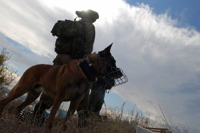 אילוסטרציה, כלב תקיפה מבצעי