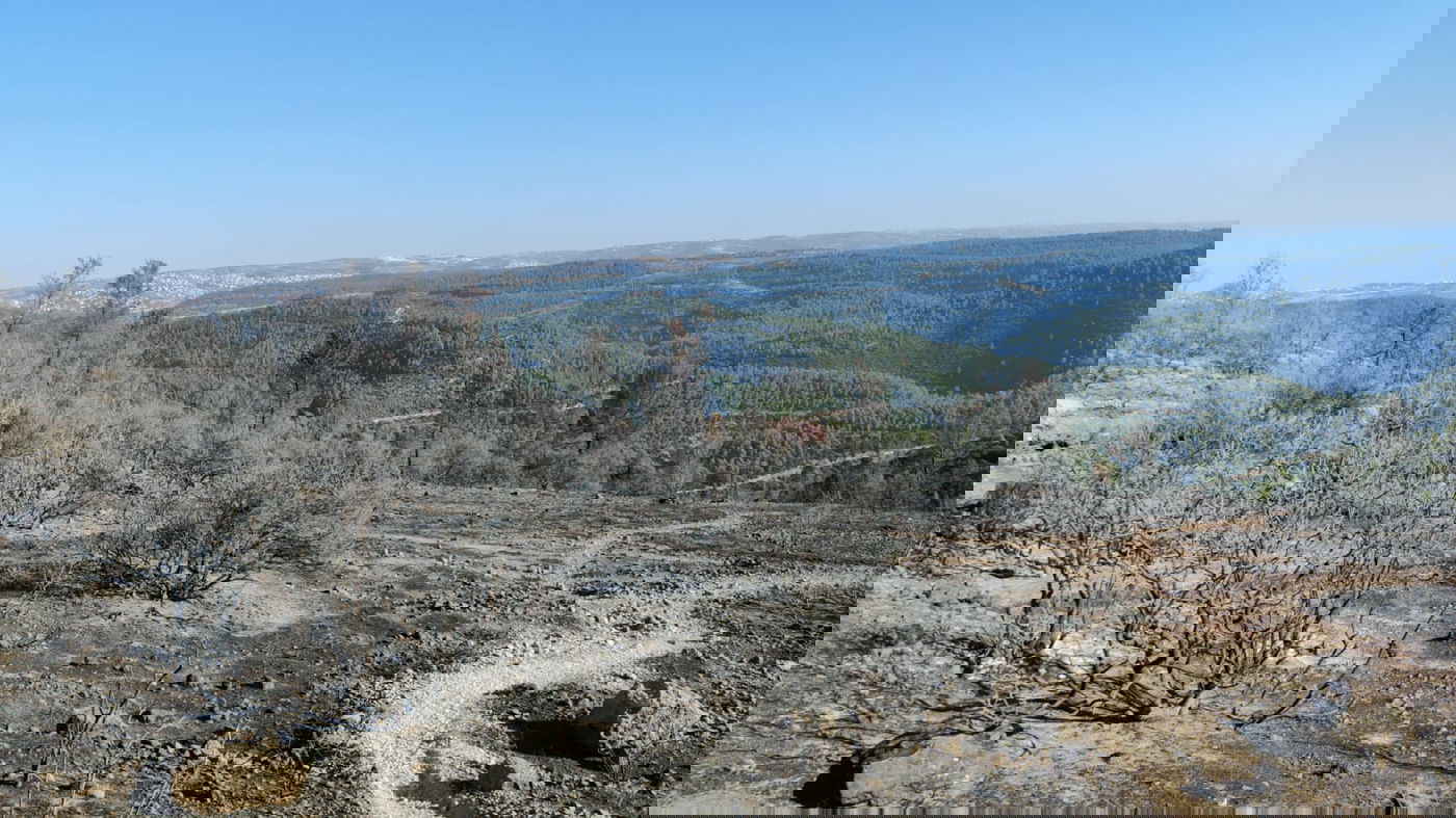 השריפה בהרי ירושלים התחדשה; כוחות הכיבוי במקום