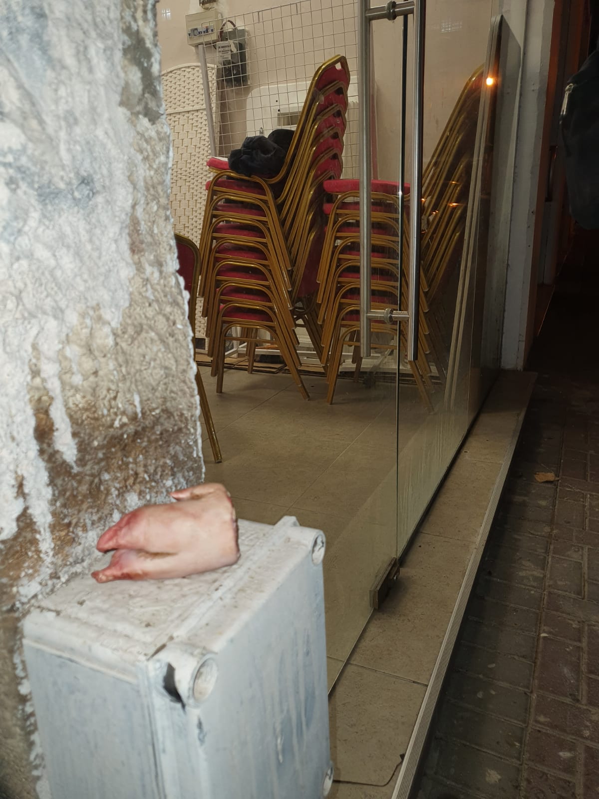 המתפללים נדהמו: רגל חזיר בבית הכנסת של חב"ד