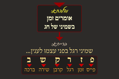 סוכה מ"ז • סיכום והמחשה של הדף היומי