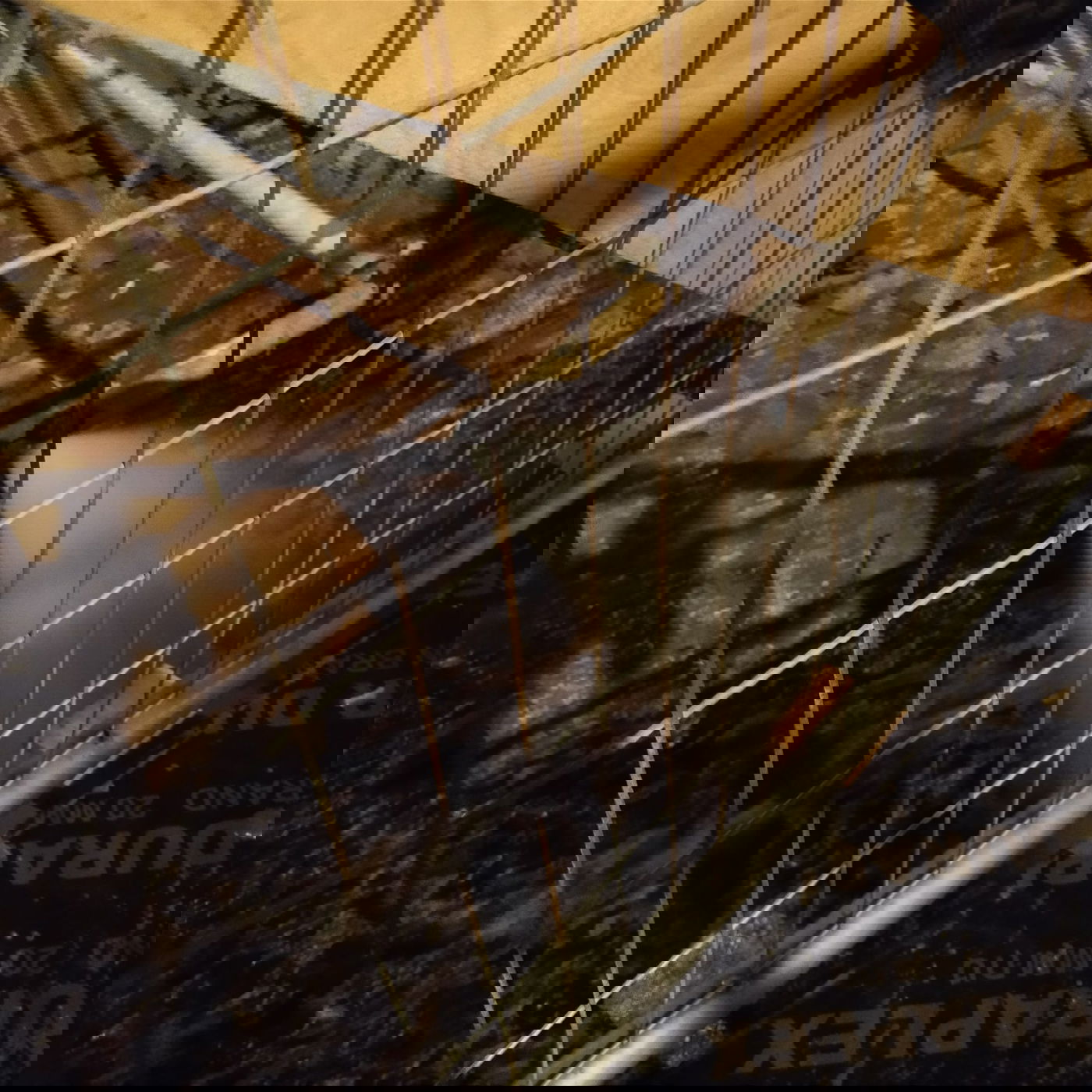 תושבי בר אילן זועמים: "המפגינים השאירו חורבן"