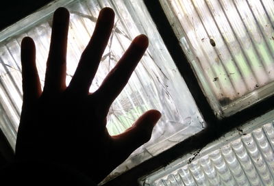 אילוסטרציה