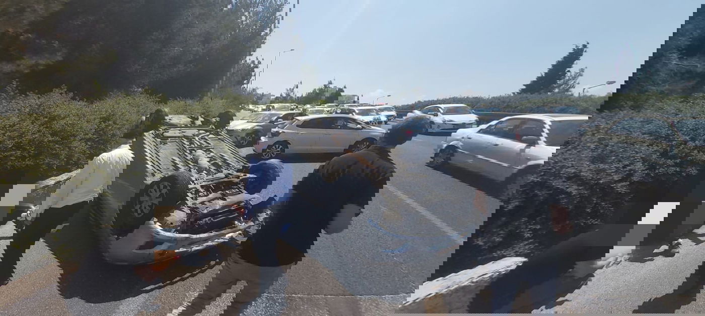 זופניק בכיכר • כל התמונות והנייעס של השבוע