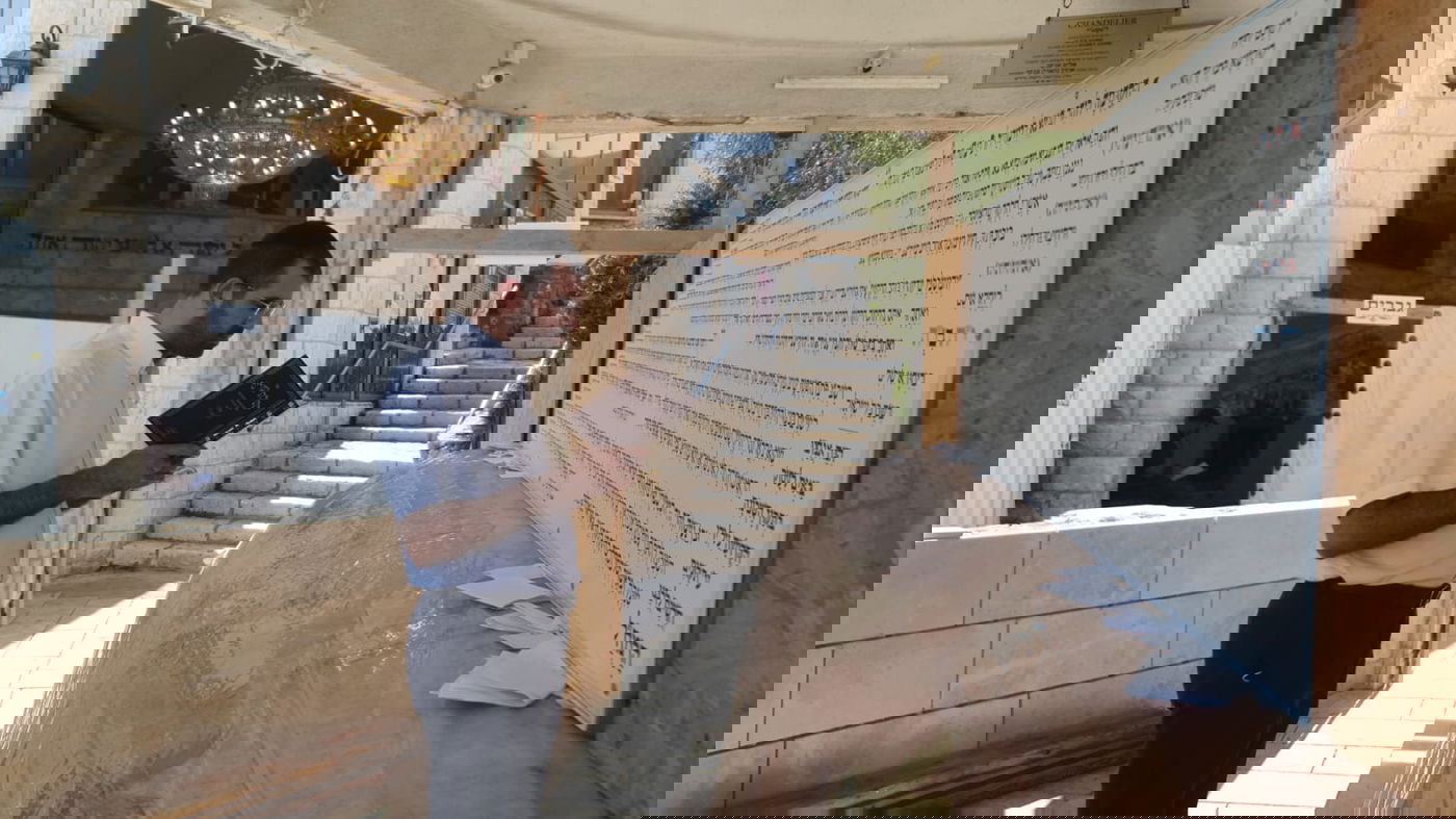 זופניק בכיכר • כל התמונות והנייעס של השבוע