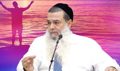 הרב יגאל כהן בוורט לפרשת כי תבוא • צפו