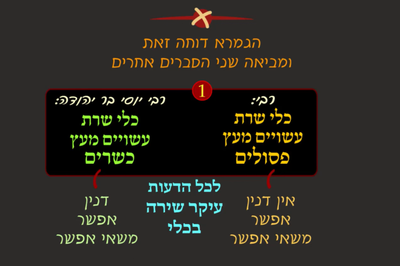 סוכה נ' • סיכום והמחשה של הדף היומי