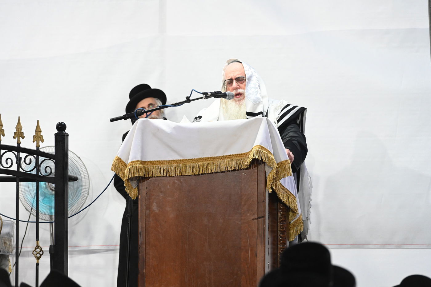 לפנות בוקר: אלפי חסידי צאנז בסליחות ראשונות