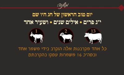 סוכה נ"ה • סיכום והמחשה של הדף היומי