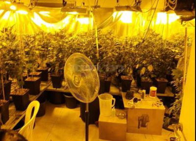 אילוסטרציה